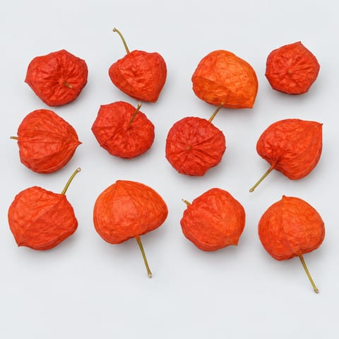 Physalis alkekengi Jumbo (los) — Physalis alkekengi Jumbo (los)
